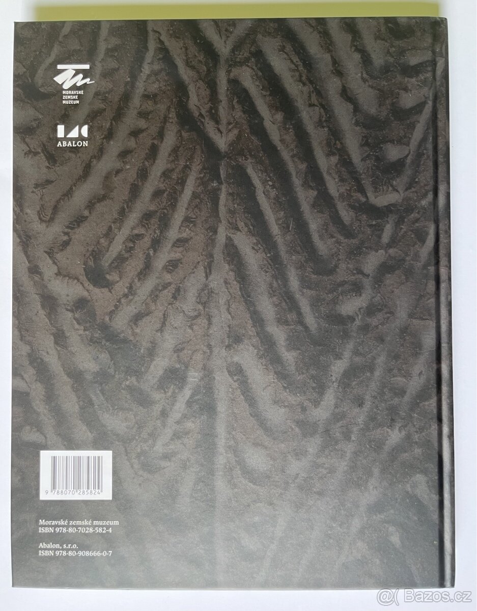 Kniha o Stříbrném pokladu ze Střelic - 5