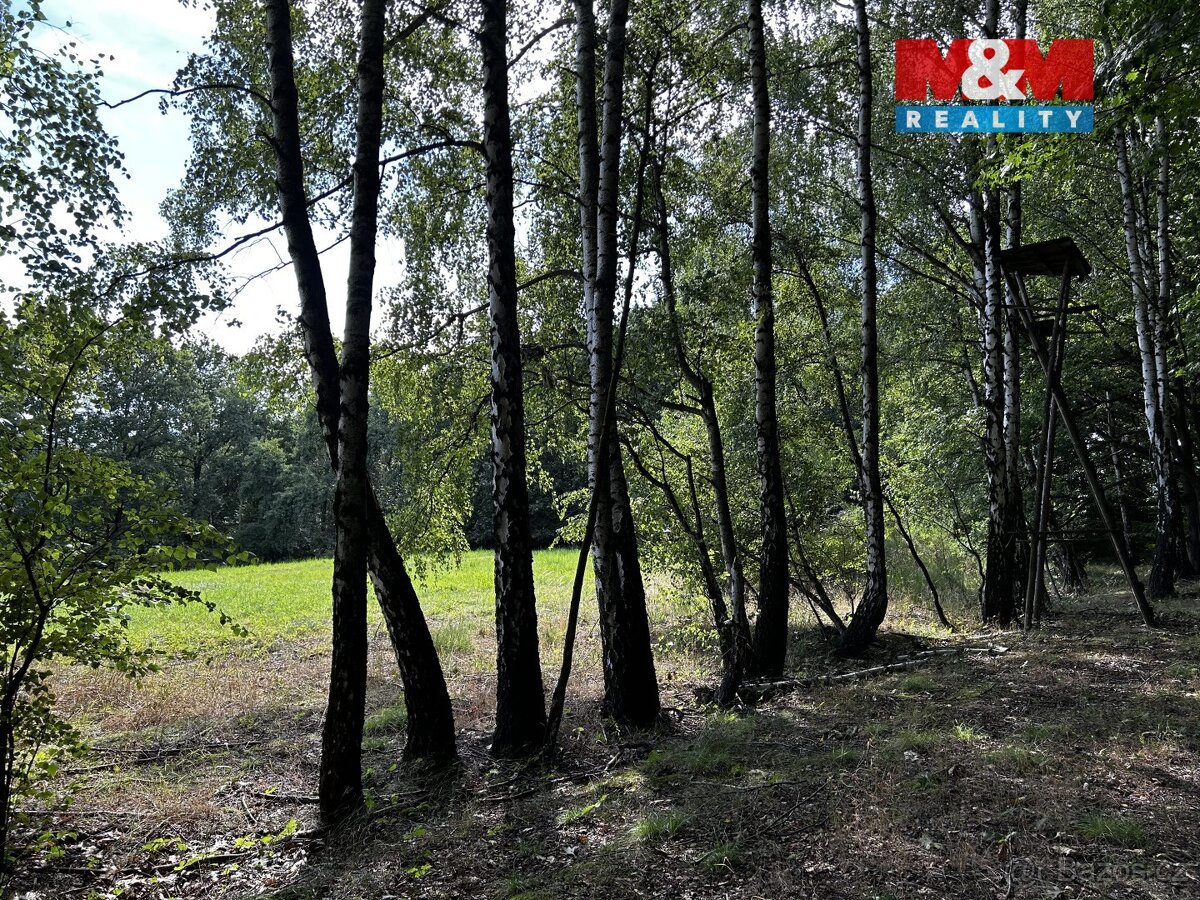 Prodej louky, 7691 m², Petrovice u Karviné - 5