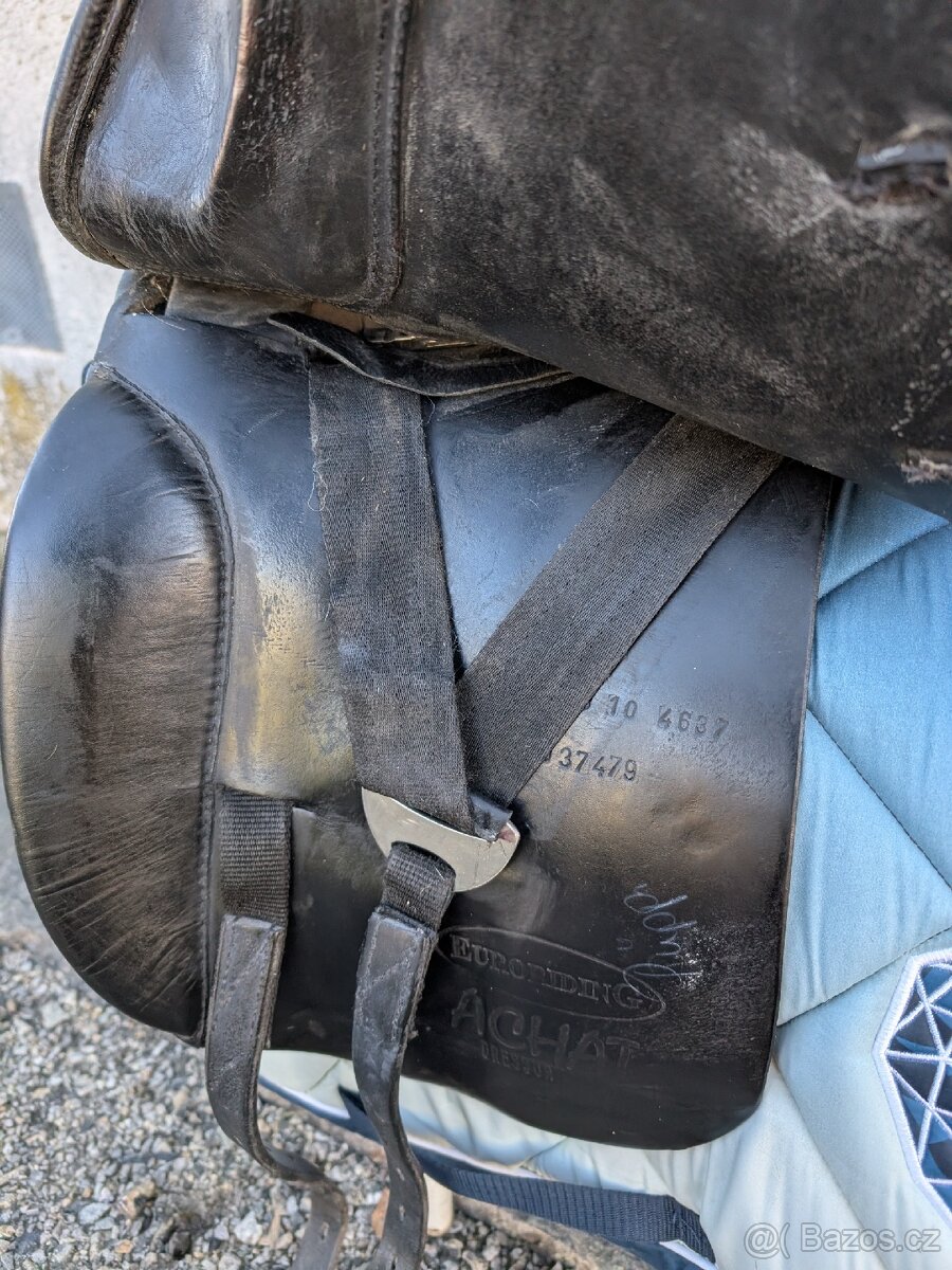 Přidám/vyměním Euroriding Achat 17"/31 - 5