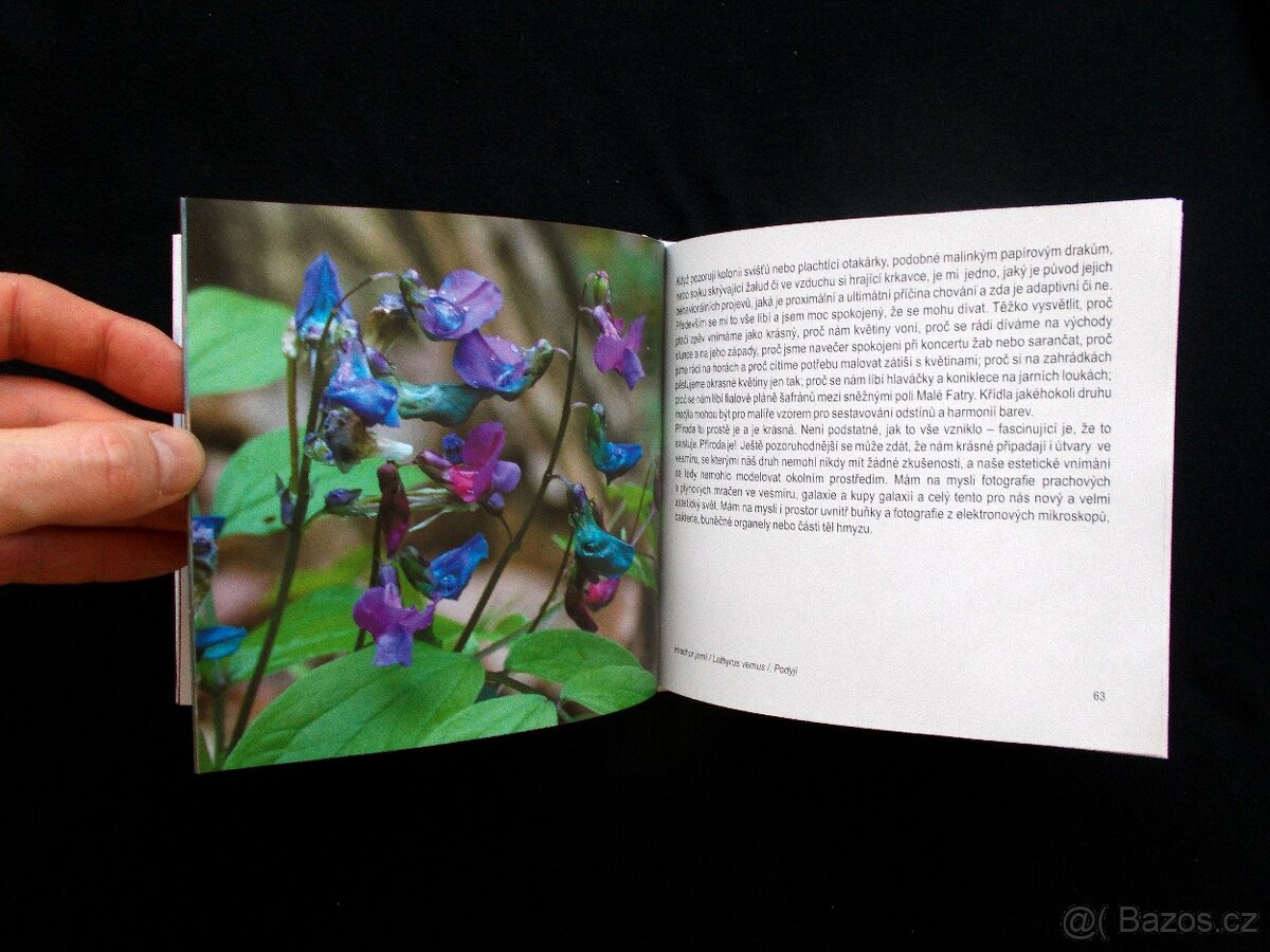 Kéž bych pod hvězdami dobře odtančil svůj tanec - 5