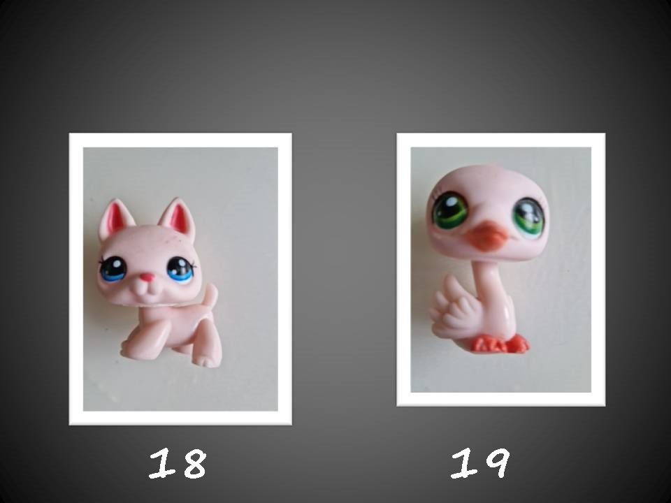 PETSHOP - 5