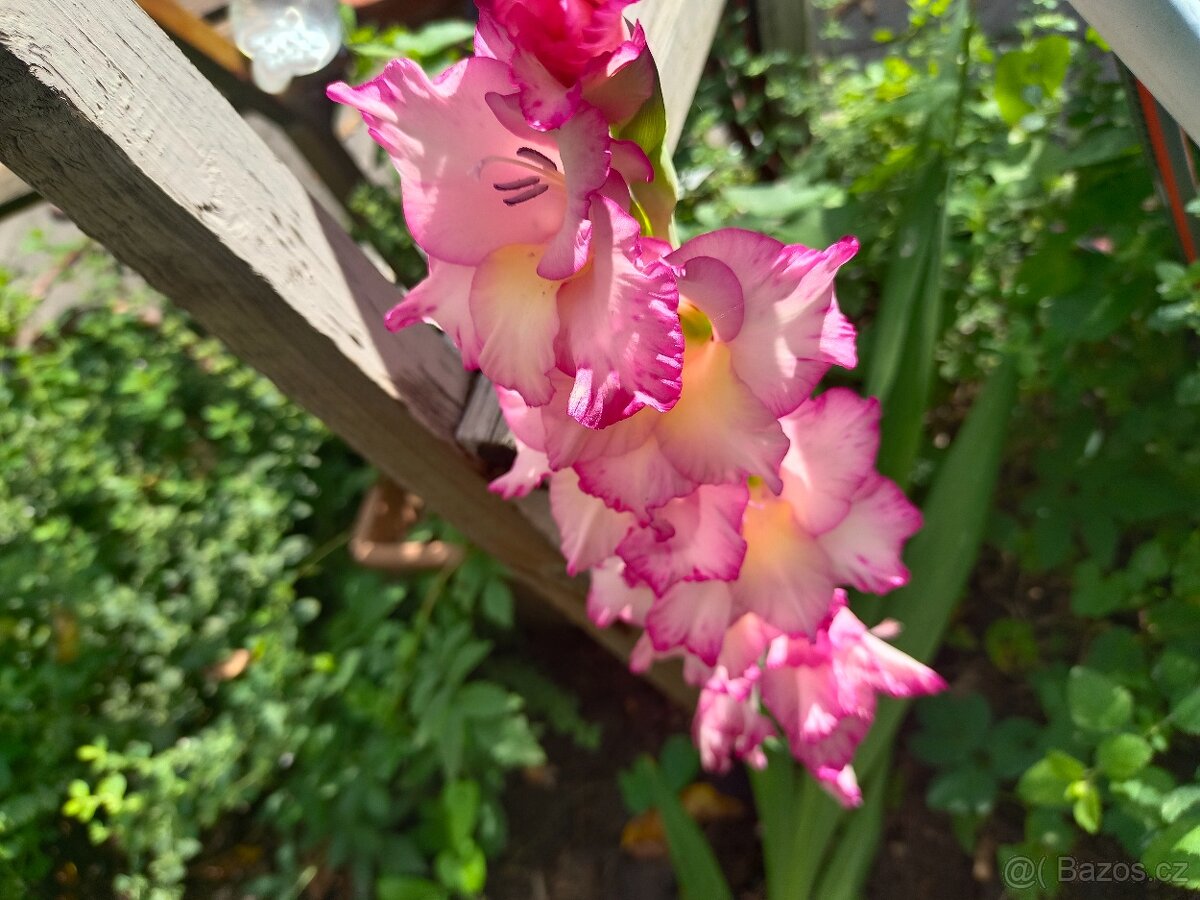 Hledám chatu k pronájmu Plzeň Rokycany Dobřív, Strašice aj - 5