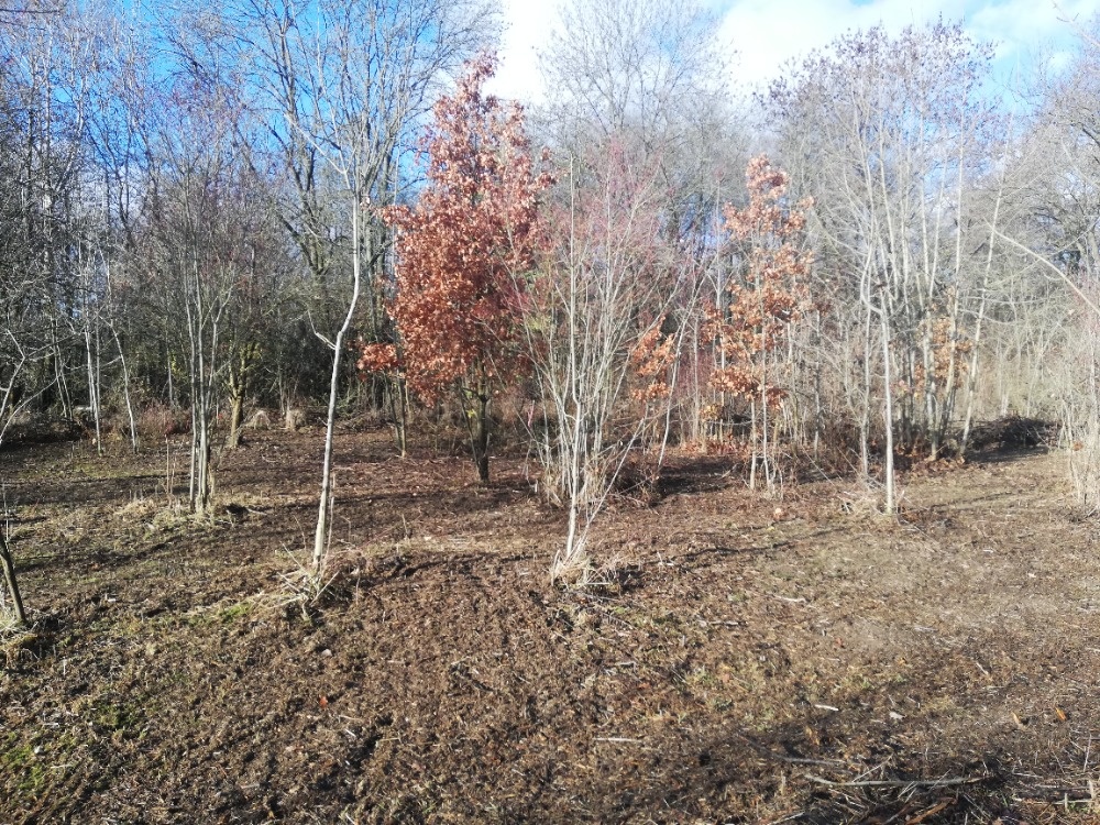 Zahradka u jezera Poděbrady (i s člunem) možnost splátek - 5