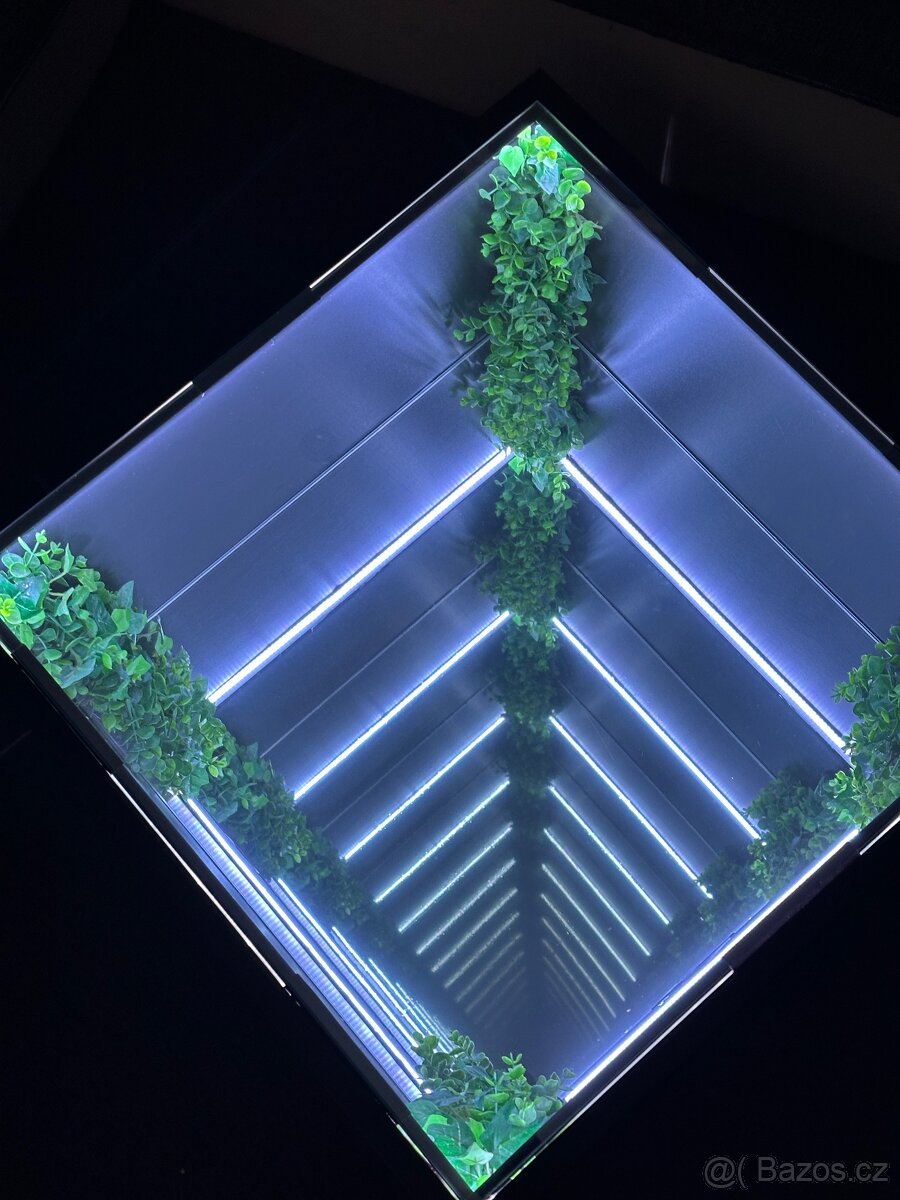 Aurelia Infinity - 5