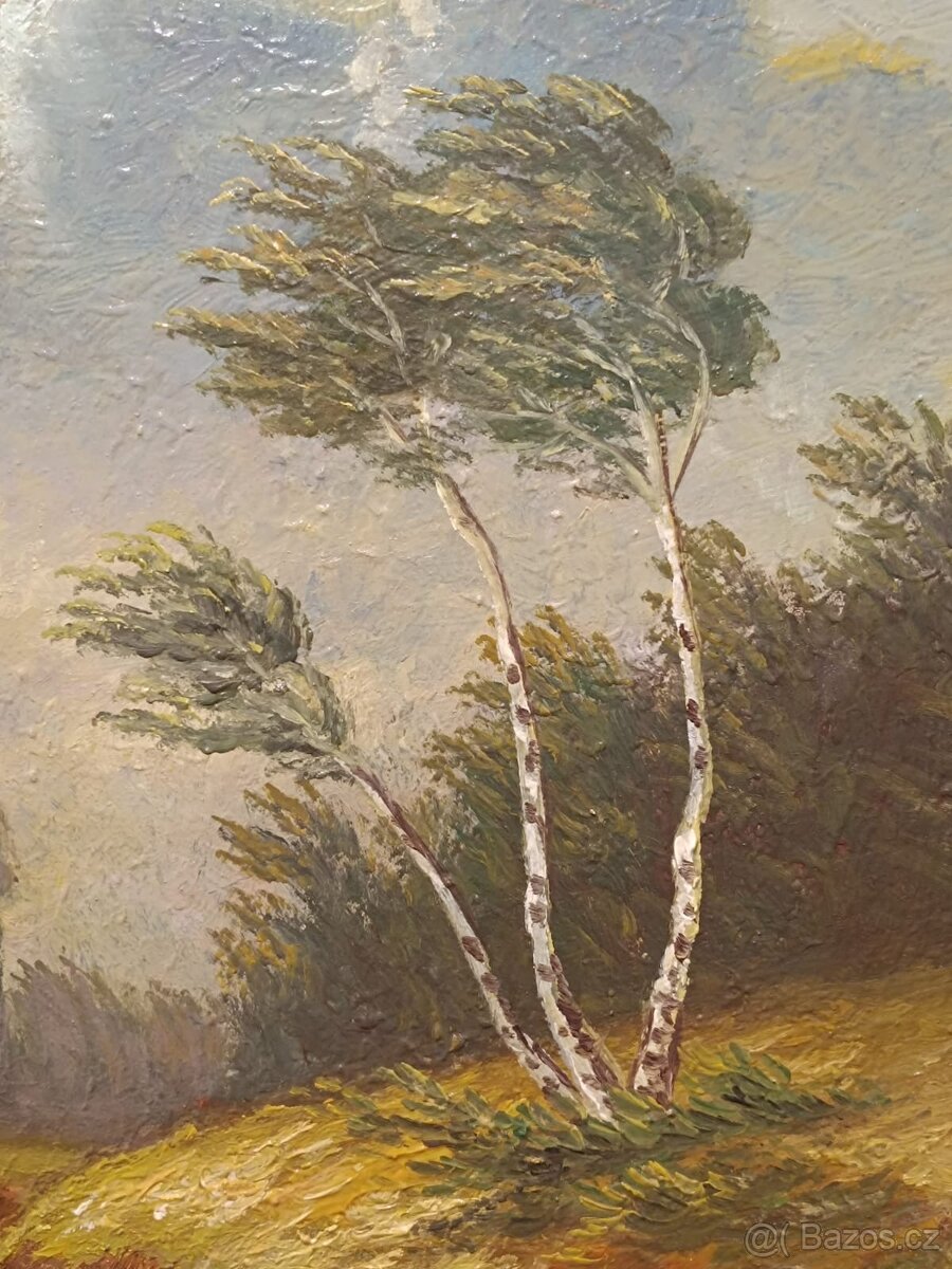 Obraz V.Odložilík, Šumava, olej 63x84 - 5