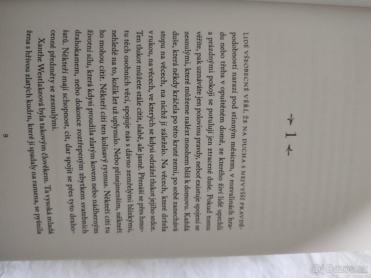 Krámek se starožitnostmi - 5