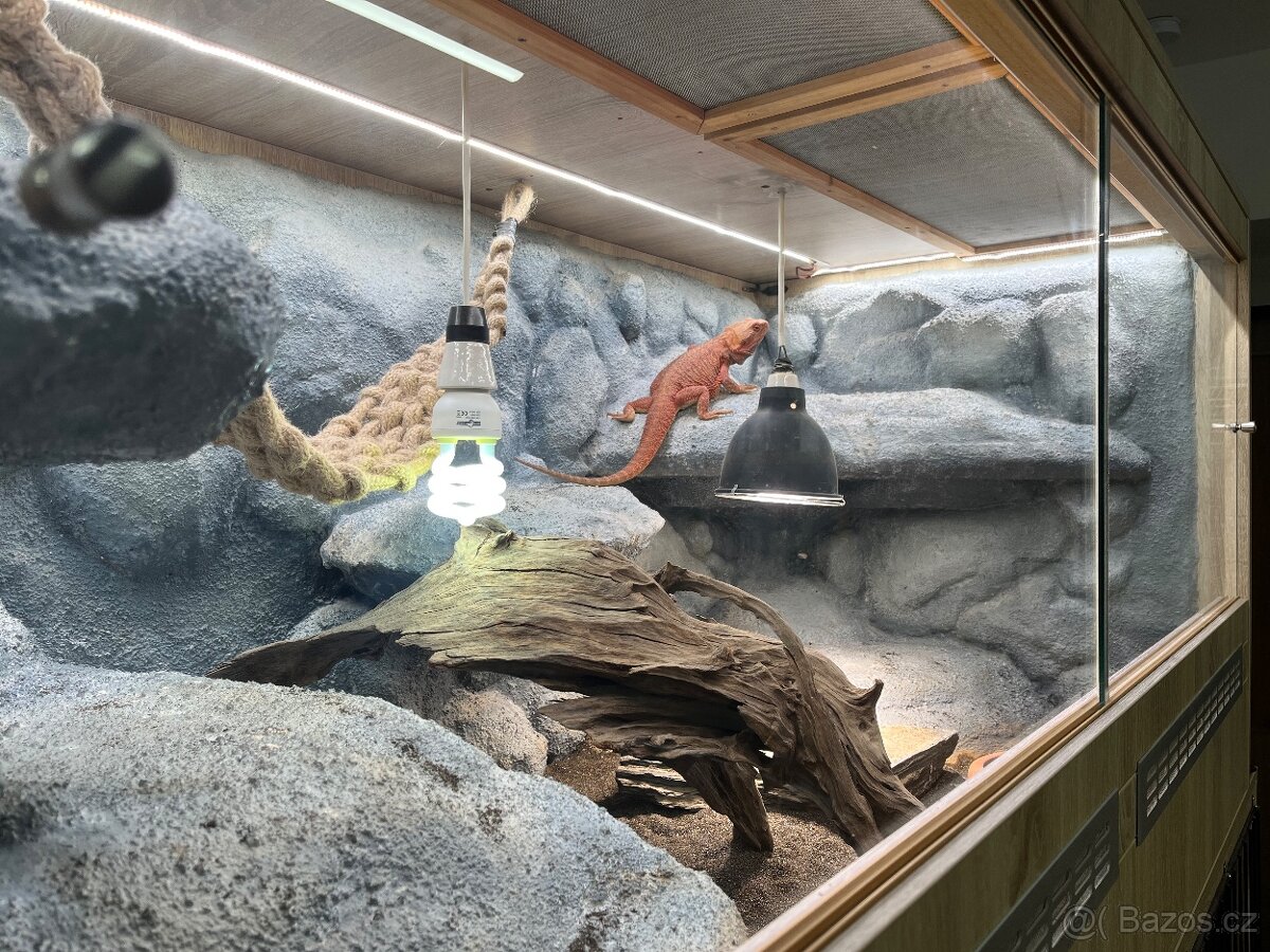 Terárium 143 x 73 x 74 cm - 5