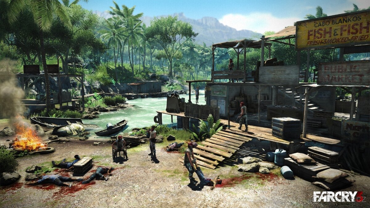 PS3 FAR CRY3 - 5