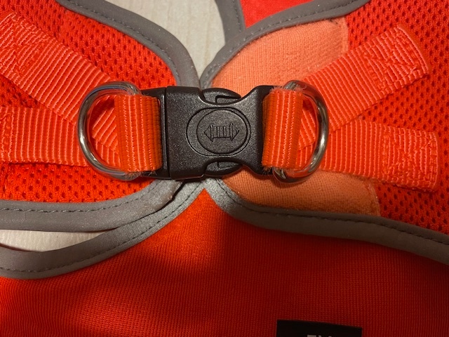 Postroj na psa_Dog Fantasy Puppy XL - 5