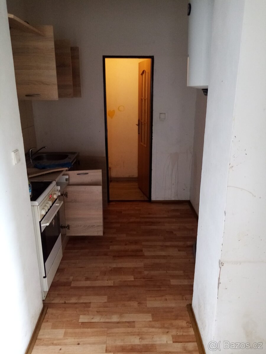 Pronajmu 2x byt 1+1 na Pískách - 5