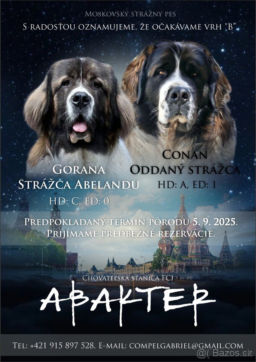 Moskevský strážní pes - ABAKTER - 5