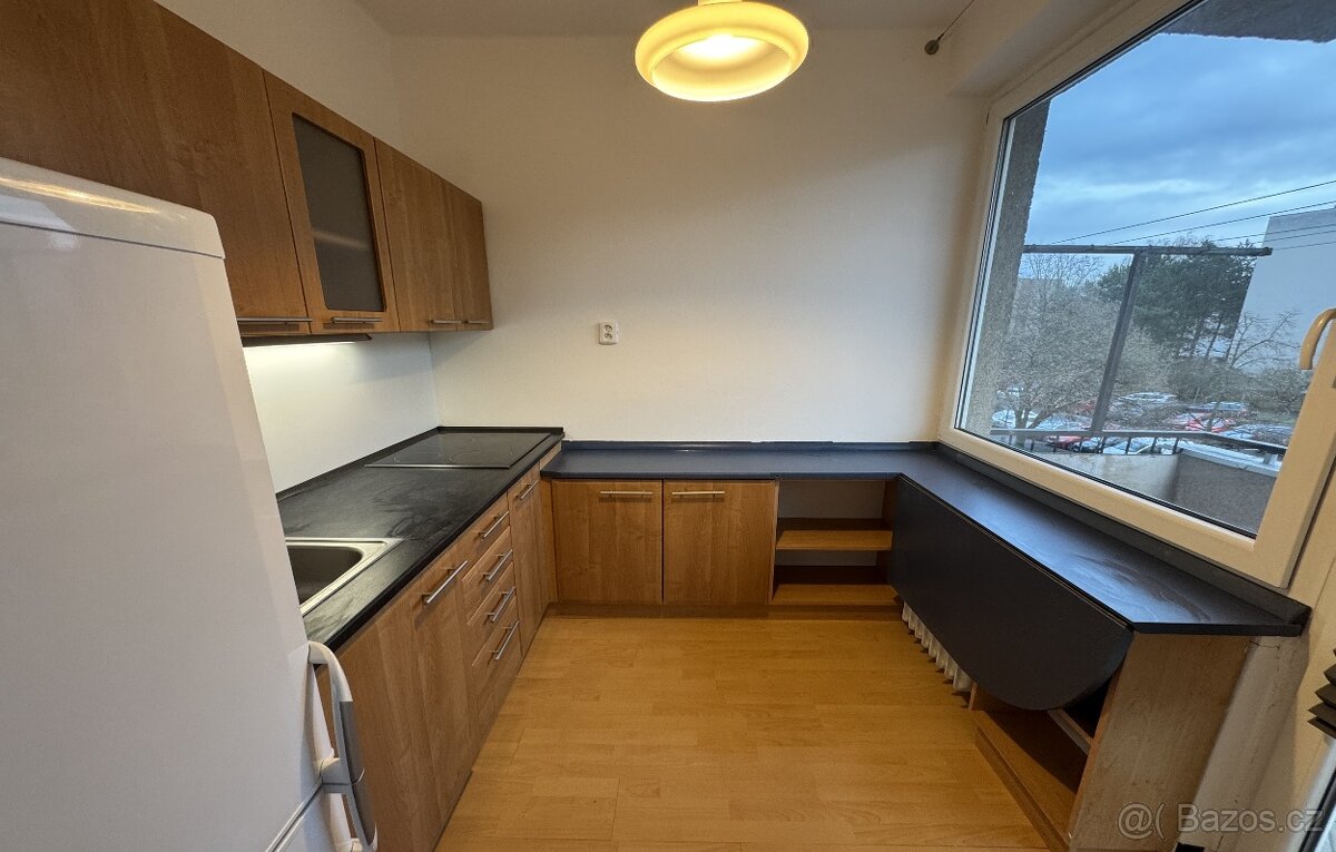 Nadstandardní 1+1, Hradec Králové - Malšovice - 5