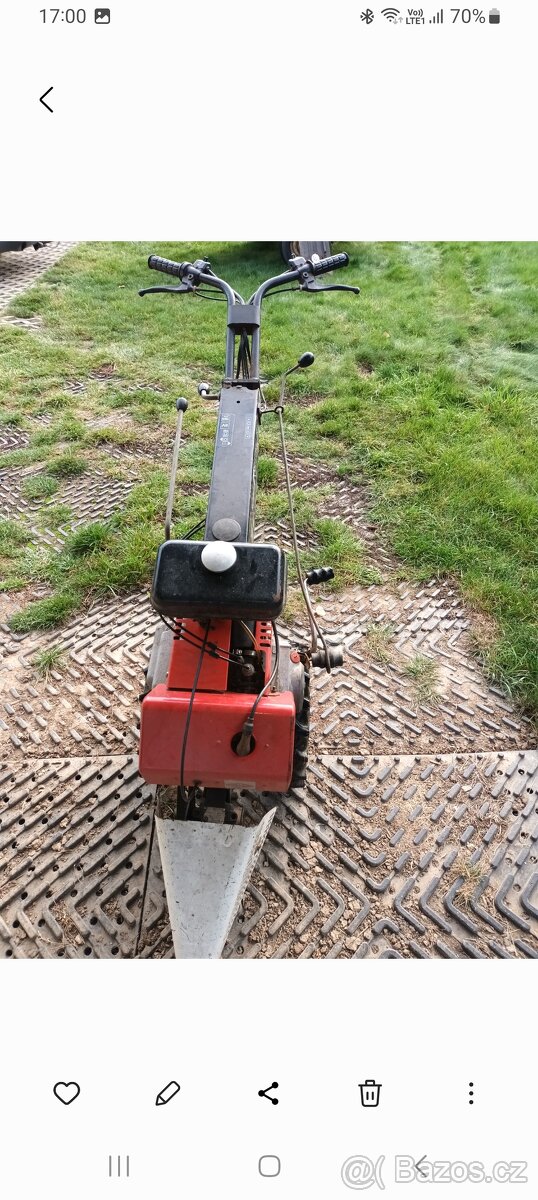 Fortschirtt- Tera vari - 5