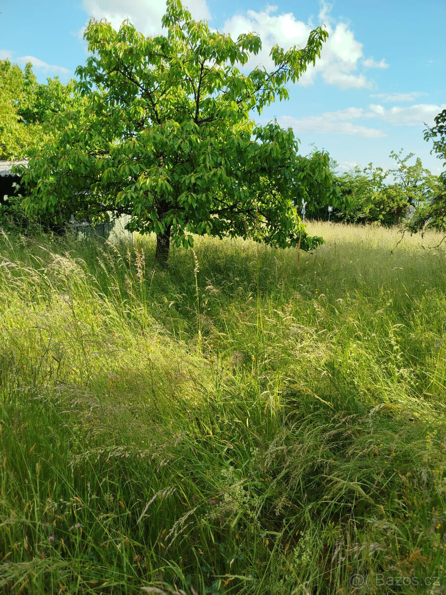 louka na sušení sena - 5