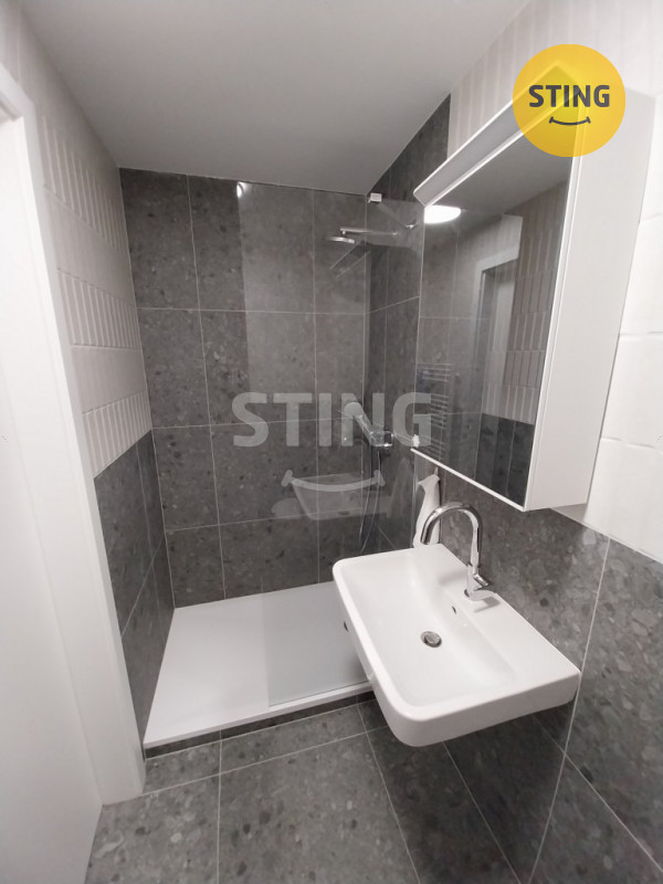 Pronájem ateliéru (bytu 1kk, 23 m2), Pekárenský dvůr, 133556 - 5