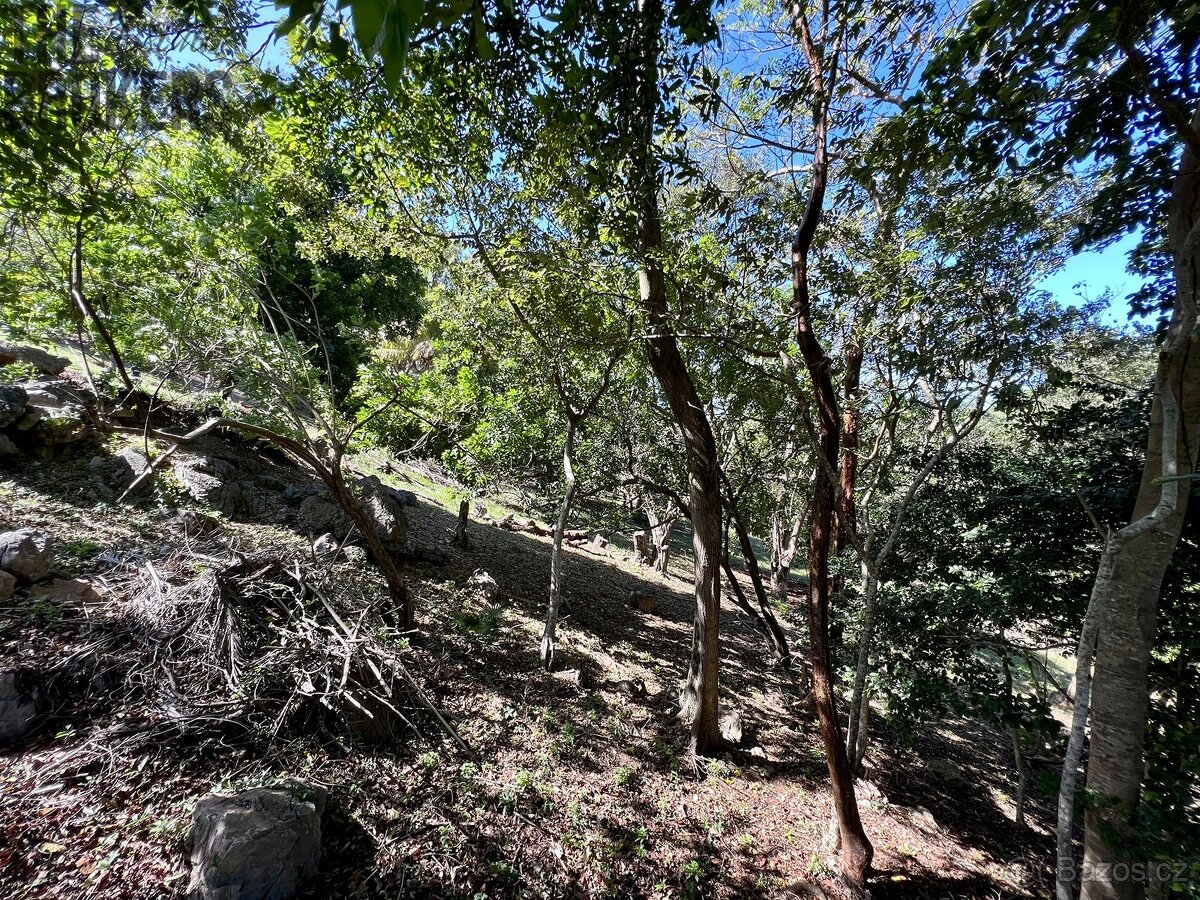 LOT 8 Bodden Bight Estate, Roatan - 5