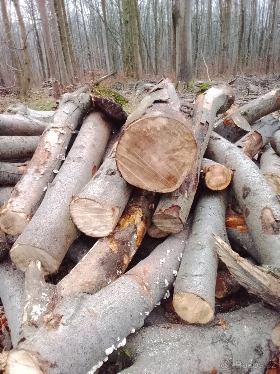 Palivové dřevo tvrdé - 5