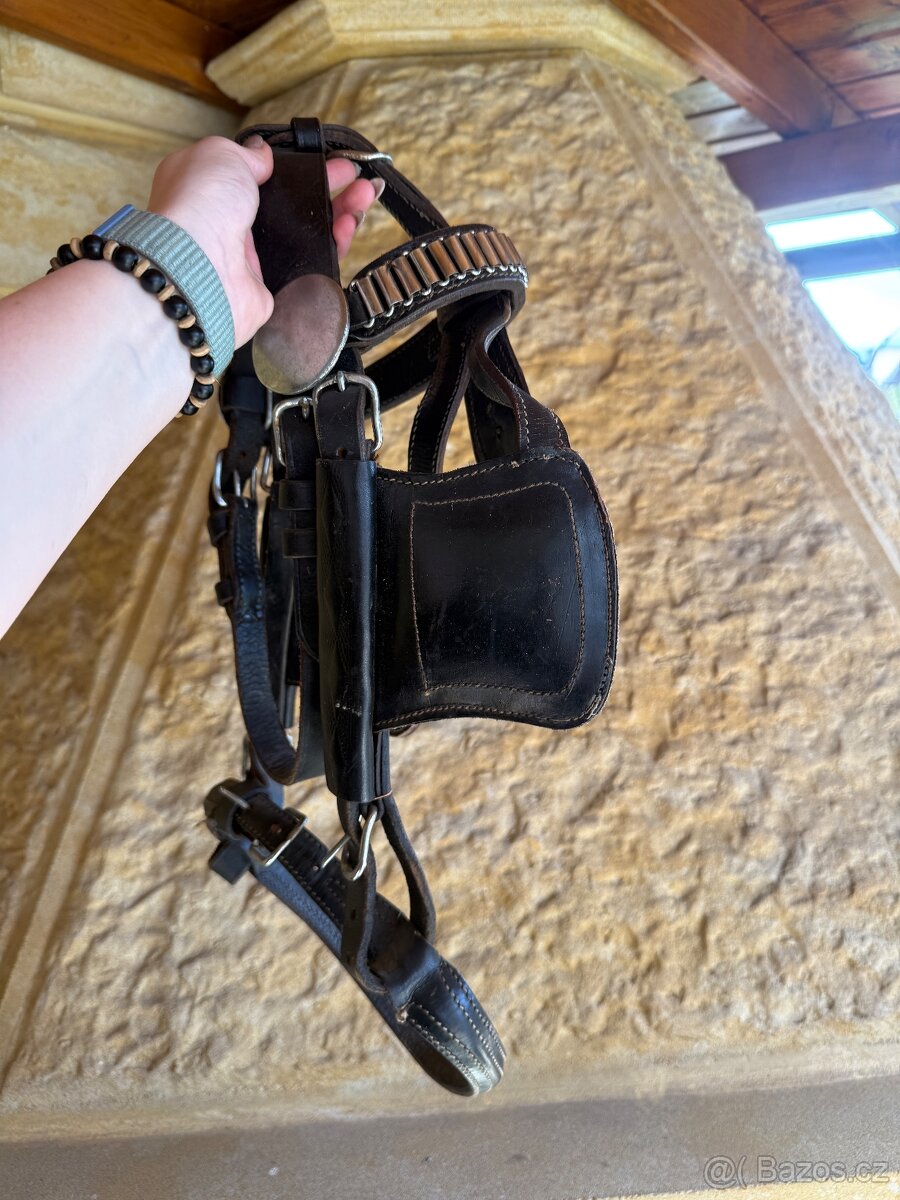 2x Vozová uzdečka - 5