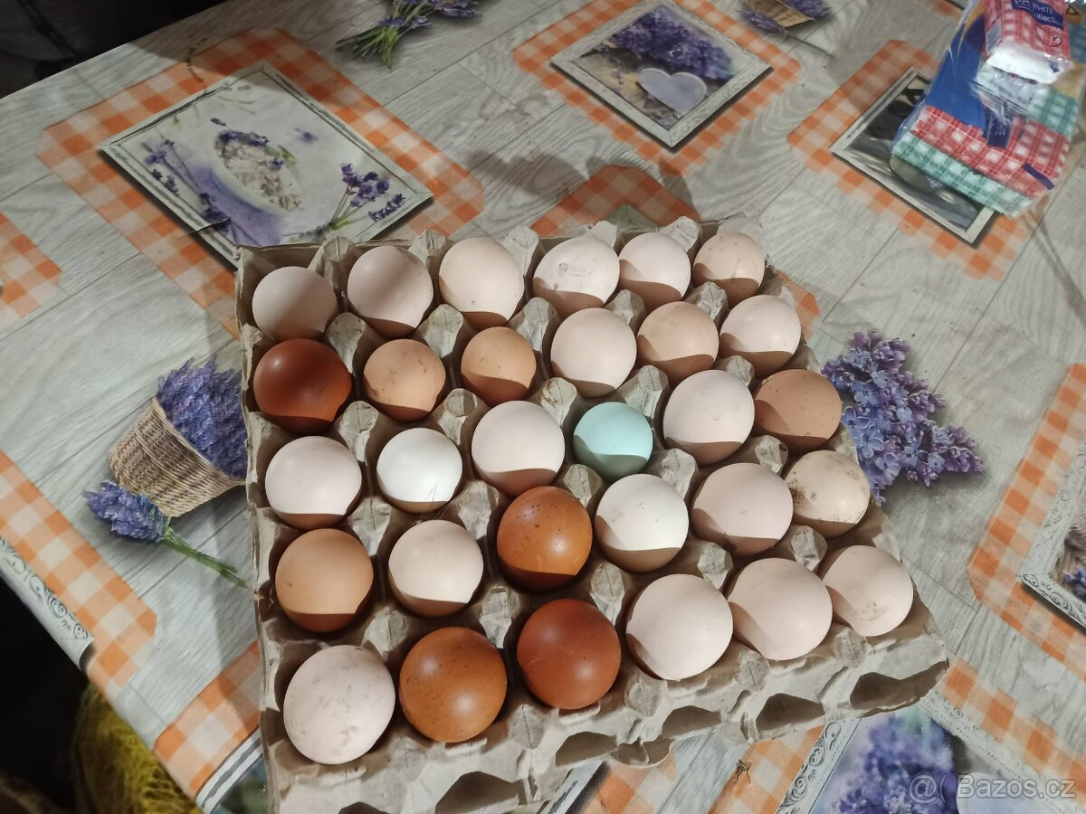 prodej drůbeže z LIBOŘIC - 5