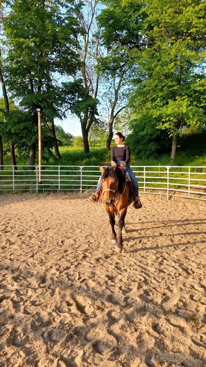 Pastevní ustájení v ráji i pro DUŠNÉ koně PRAHA 35 minut - 5