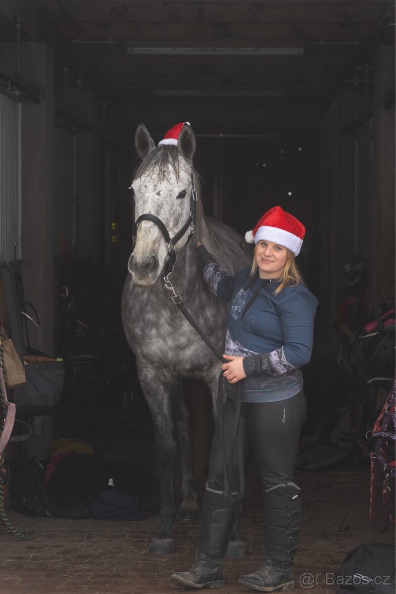 Pronajem úžasné šimličky - 5