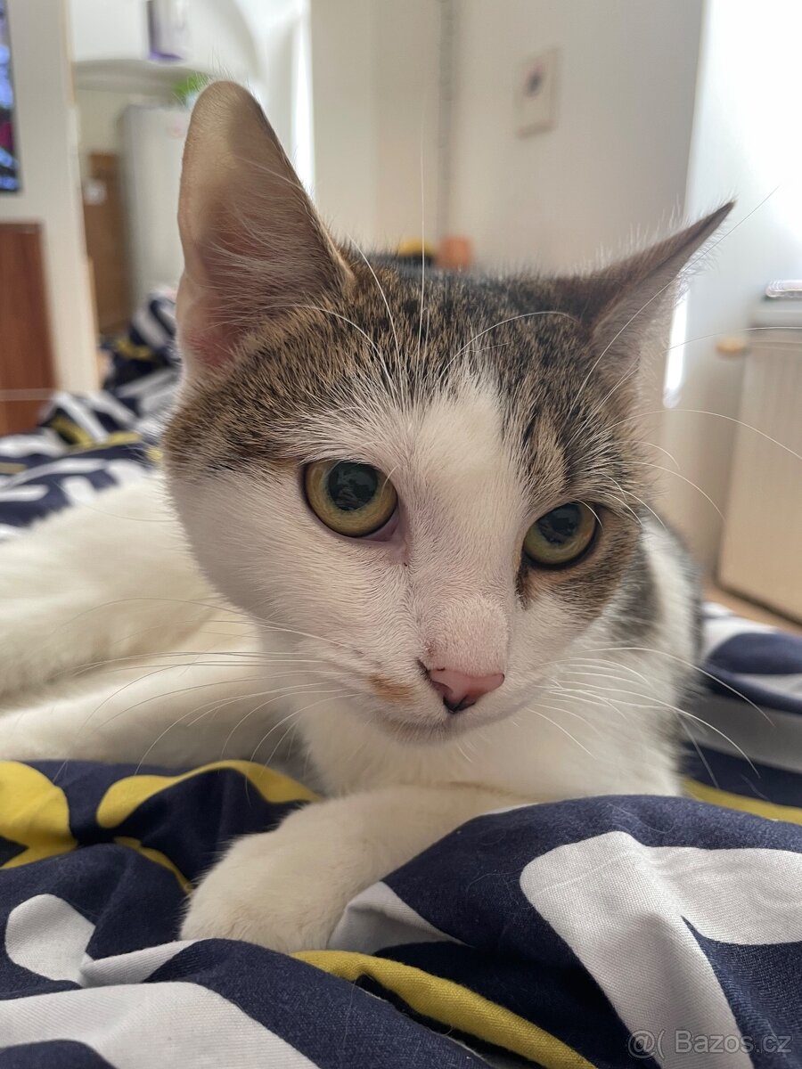 Daruji-rezervace - 5