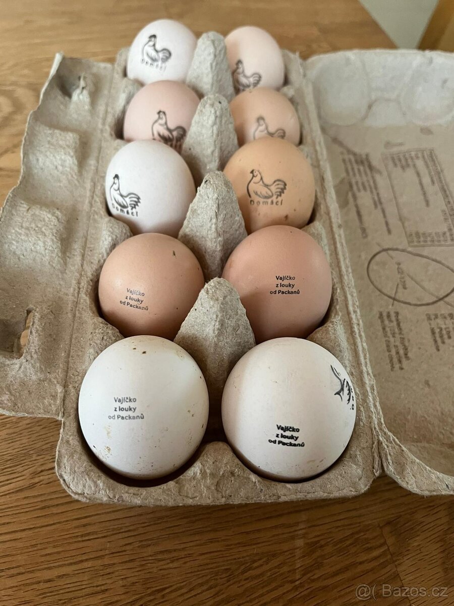 Do 1.4 2026 vejce nejsou. - 5