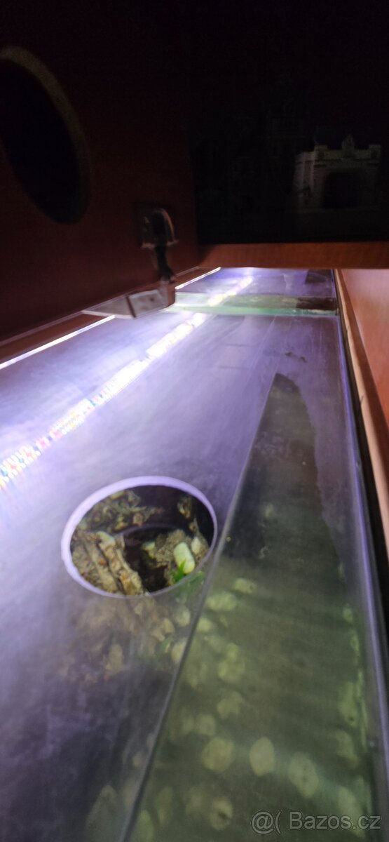 Prodám akvárium - 5