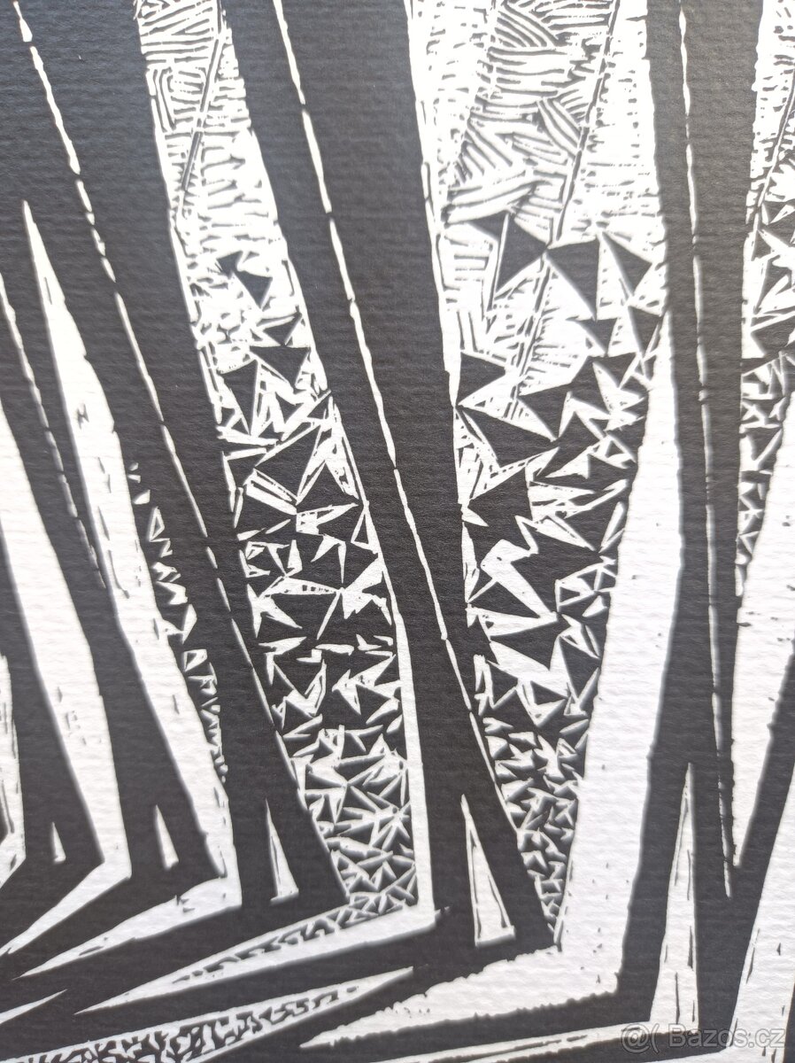 František Kupka - Čtyři příběhy bílé a černé - grafika č.13 - 5