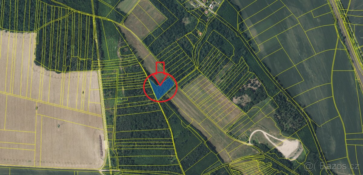 Prodej lesního pozemku k.ú. Dolní Beřkovice - 5