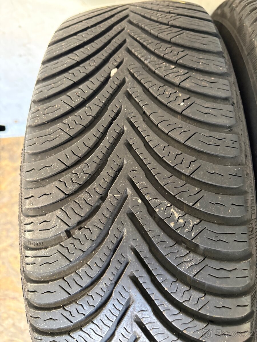 Zimni sada 195 65 15 - 5