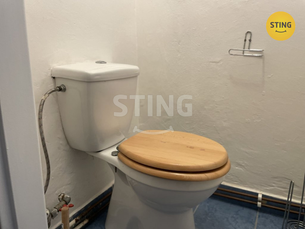 Pronájem bytu 1+1, 50 m2 se zahradou, ulice Poděbrad, 134118 - 5