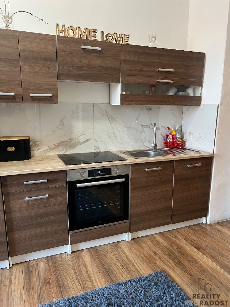 Prodej domu k bydlení i podnikání, dům s 5 bytovými jednotka - 5