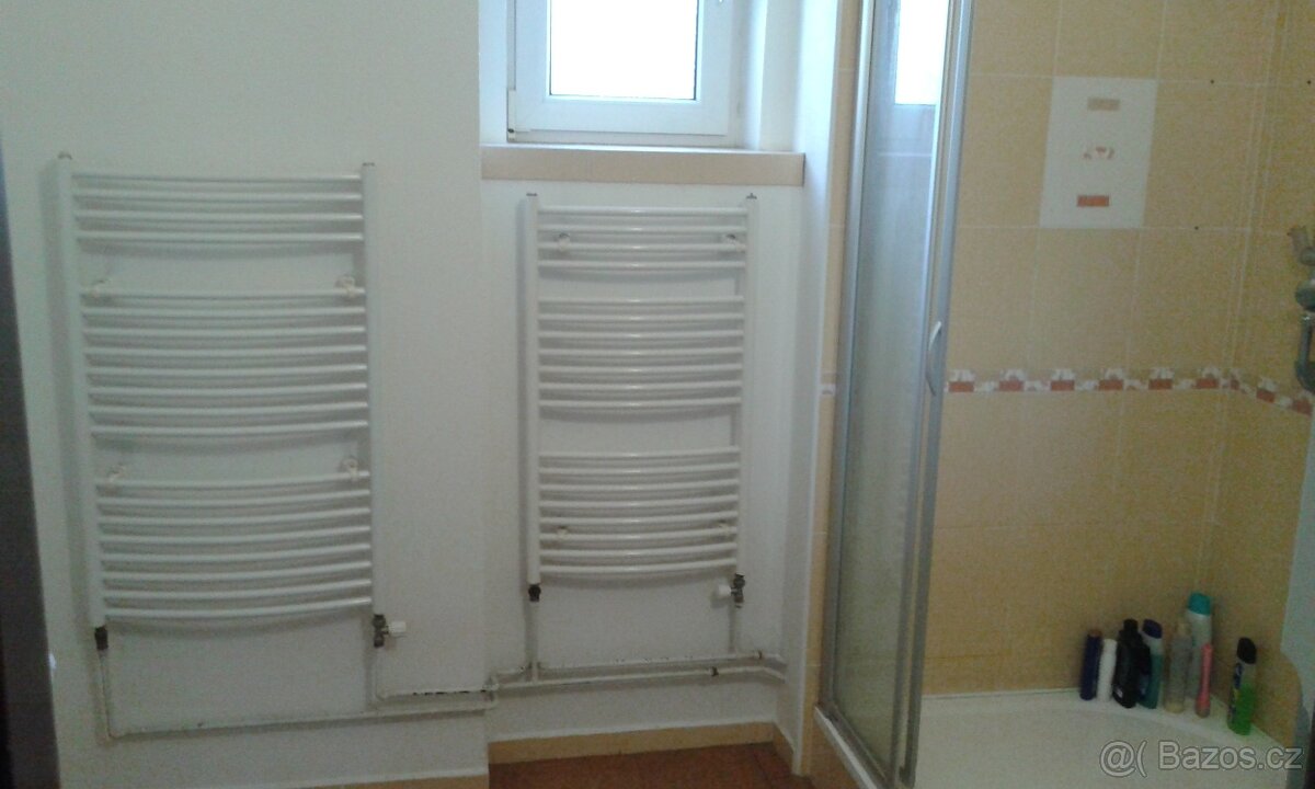 Hledá se spolubydlící - 5