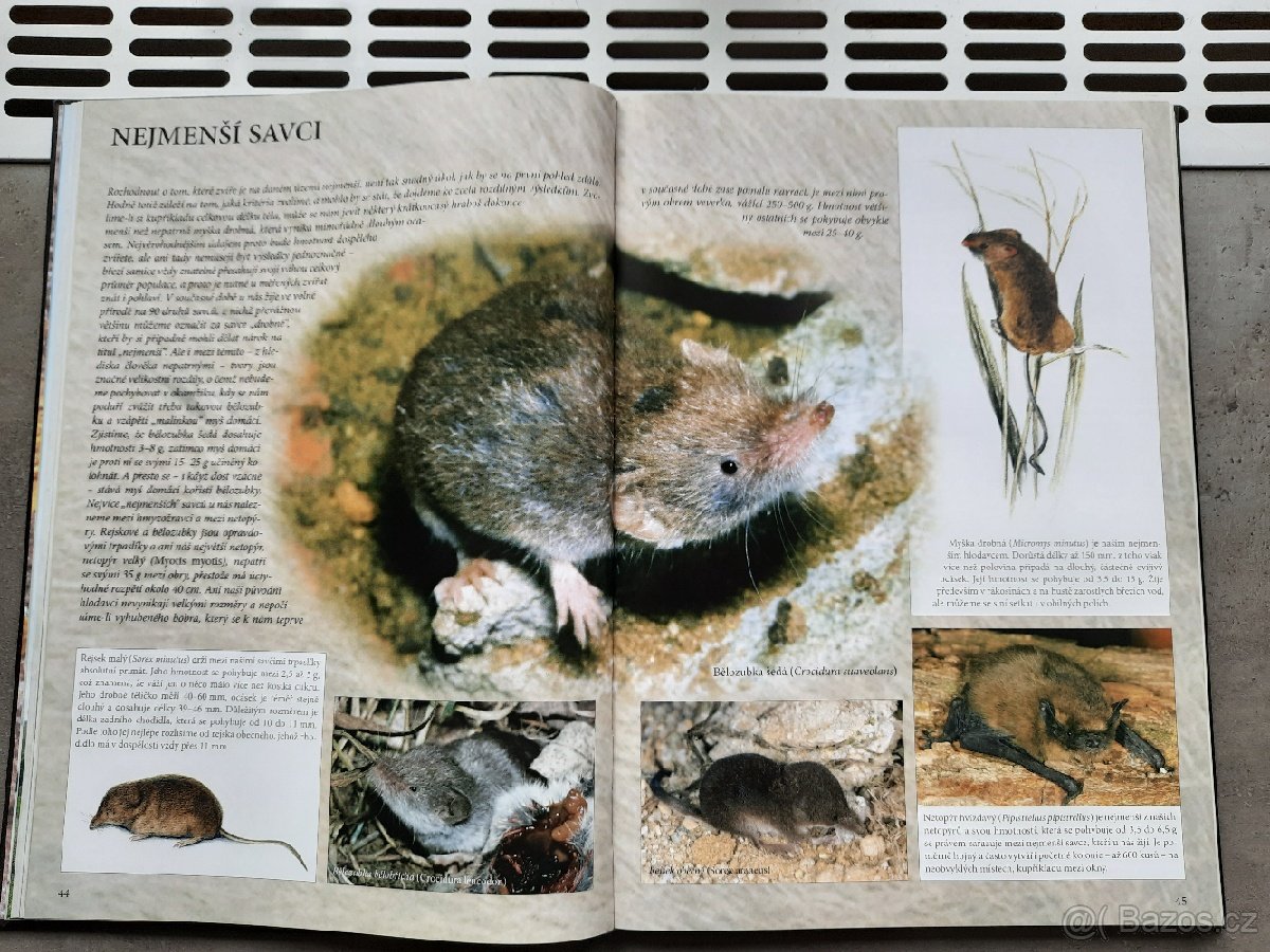 Prodám knihu TO NEJZAJÍMAVĚJŠÍ Z ČESKÉ PŘÍRODY - 5