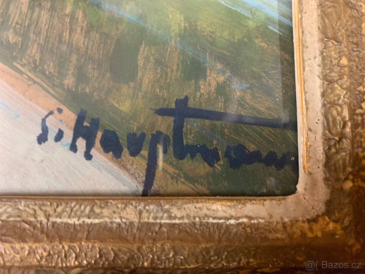 Obrazy malíře Hauptmanna - 5