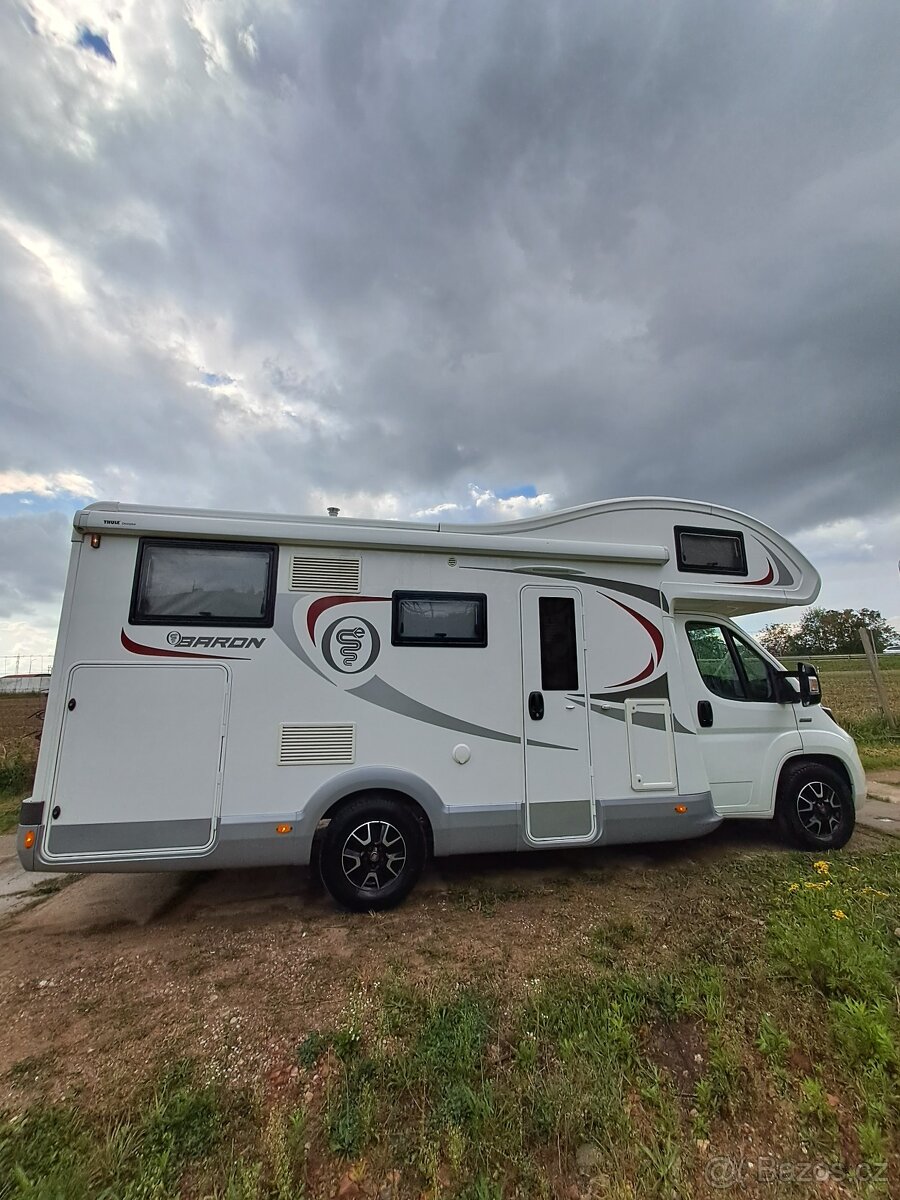 Alkovna Elnagh Baron - 5