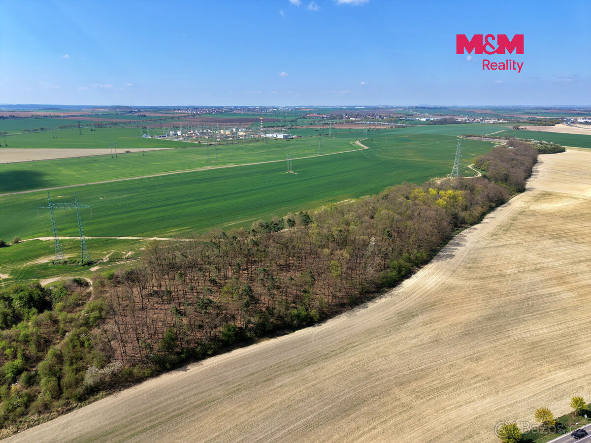 Prodej lesa, 4629 m², Mochov - 5
