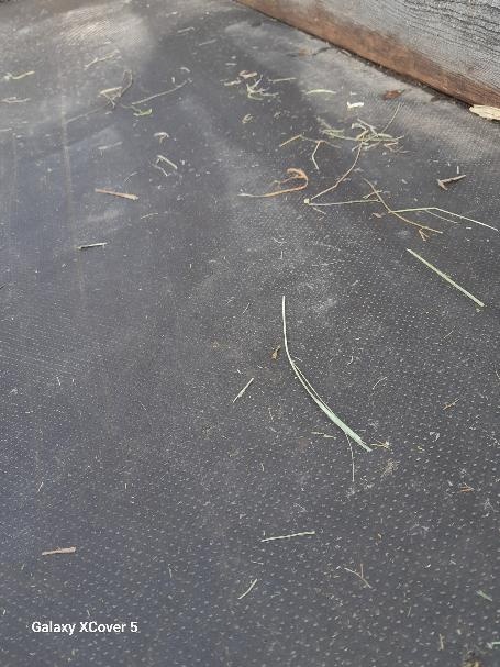 Vůz za koně, hucula, fjorda - 5