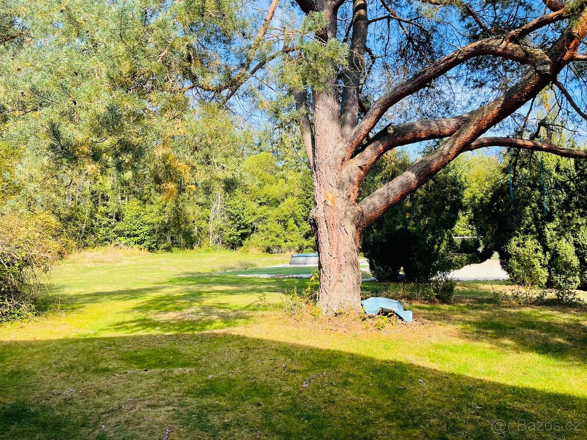 Prodej, pozemek k rekreaci, 3074m2, Butov u Stříbra, okres T - 5