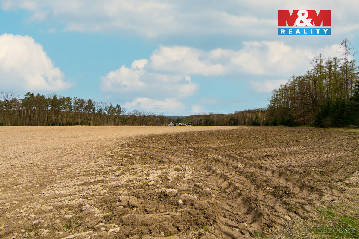 Prodej pole, 5839 m², Předenice - 5