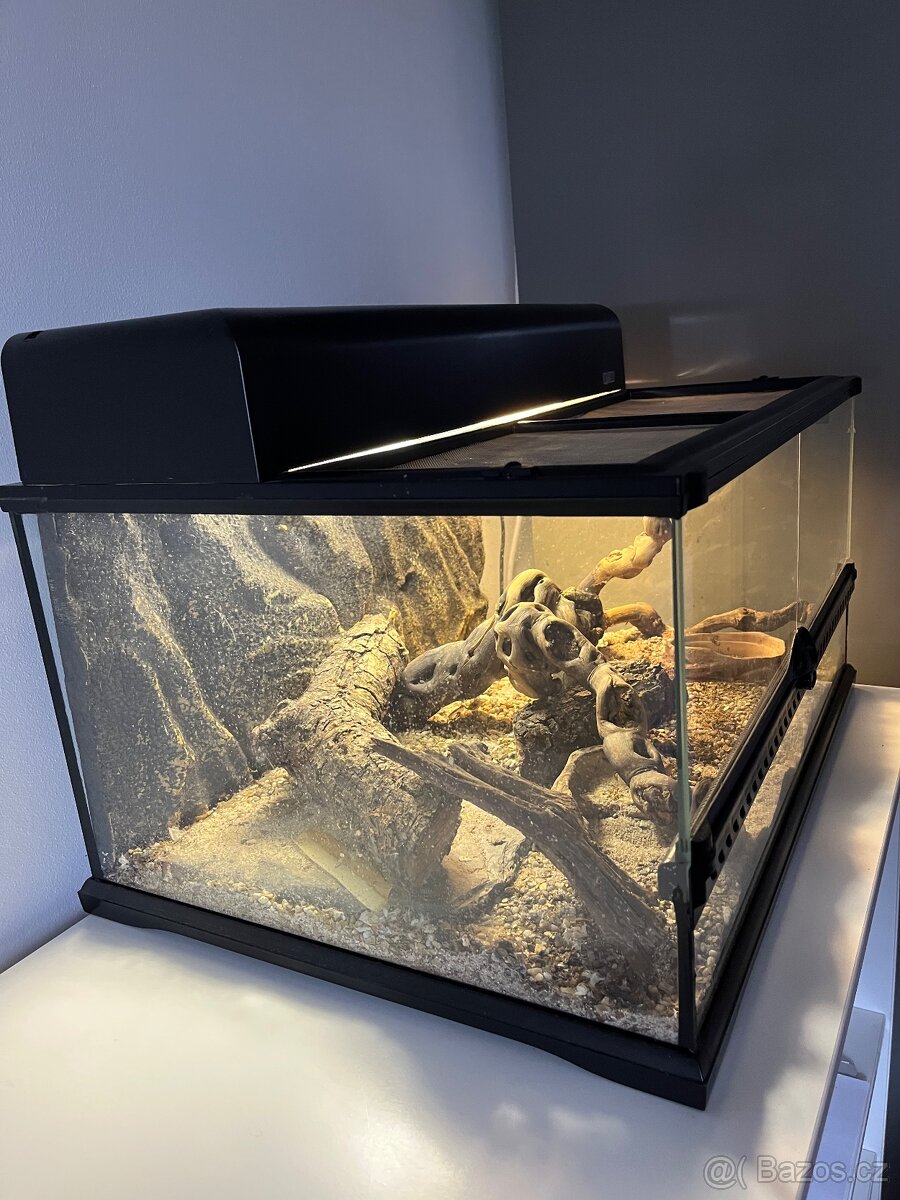 Terarium, terarko vcetne oscetleni - 5