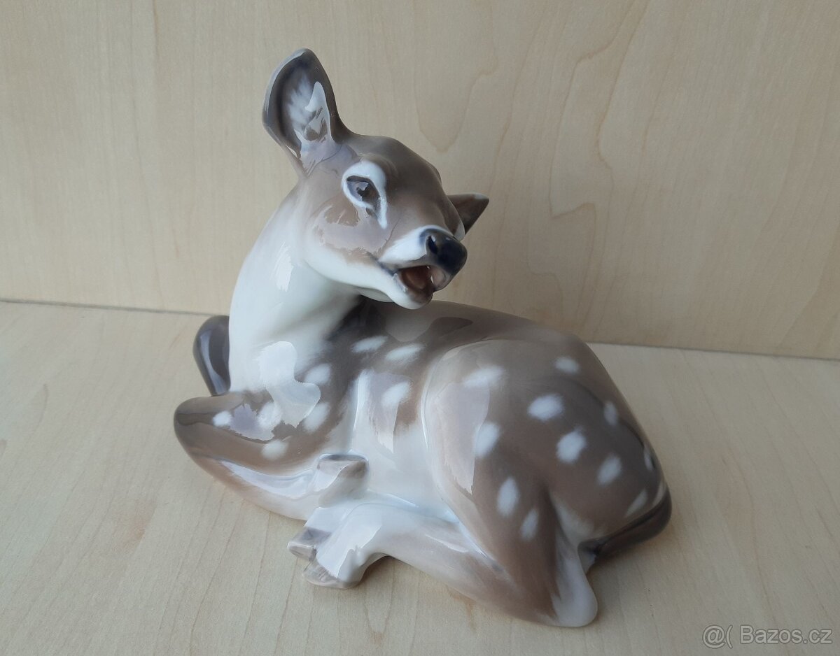 Královská Kodaň - kolouch - 5