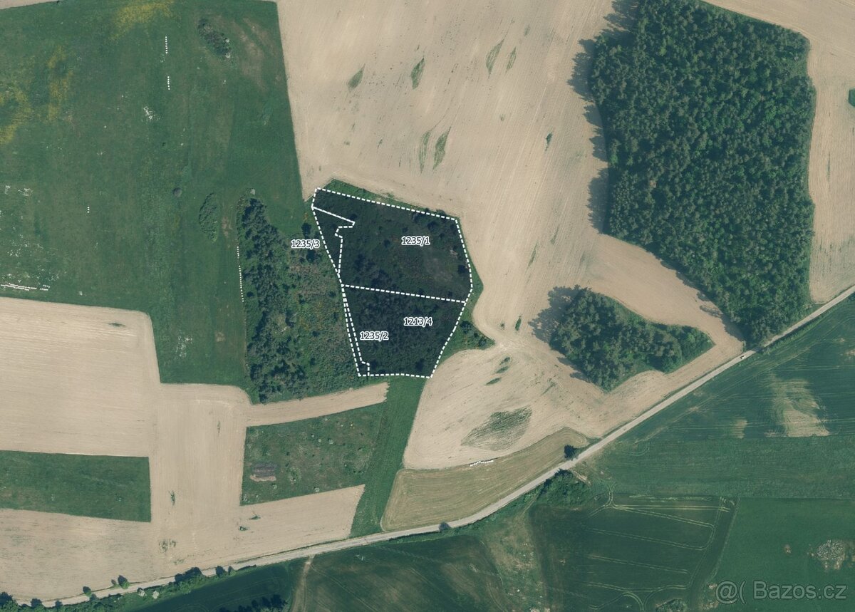 Zemědělská půda, prodej, Velký Bor, Klatovy - 5