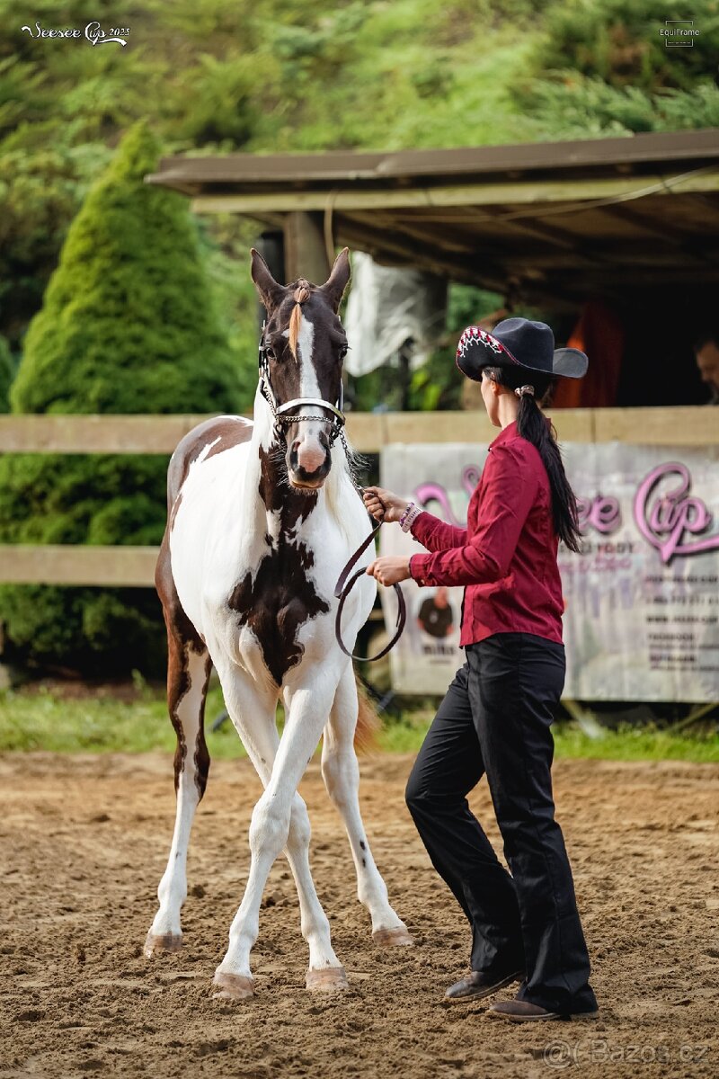 APH hřebeček 2024 - 5