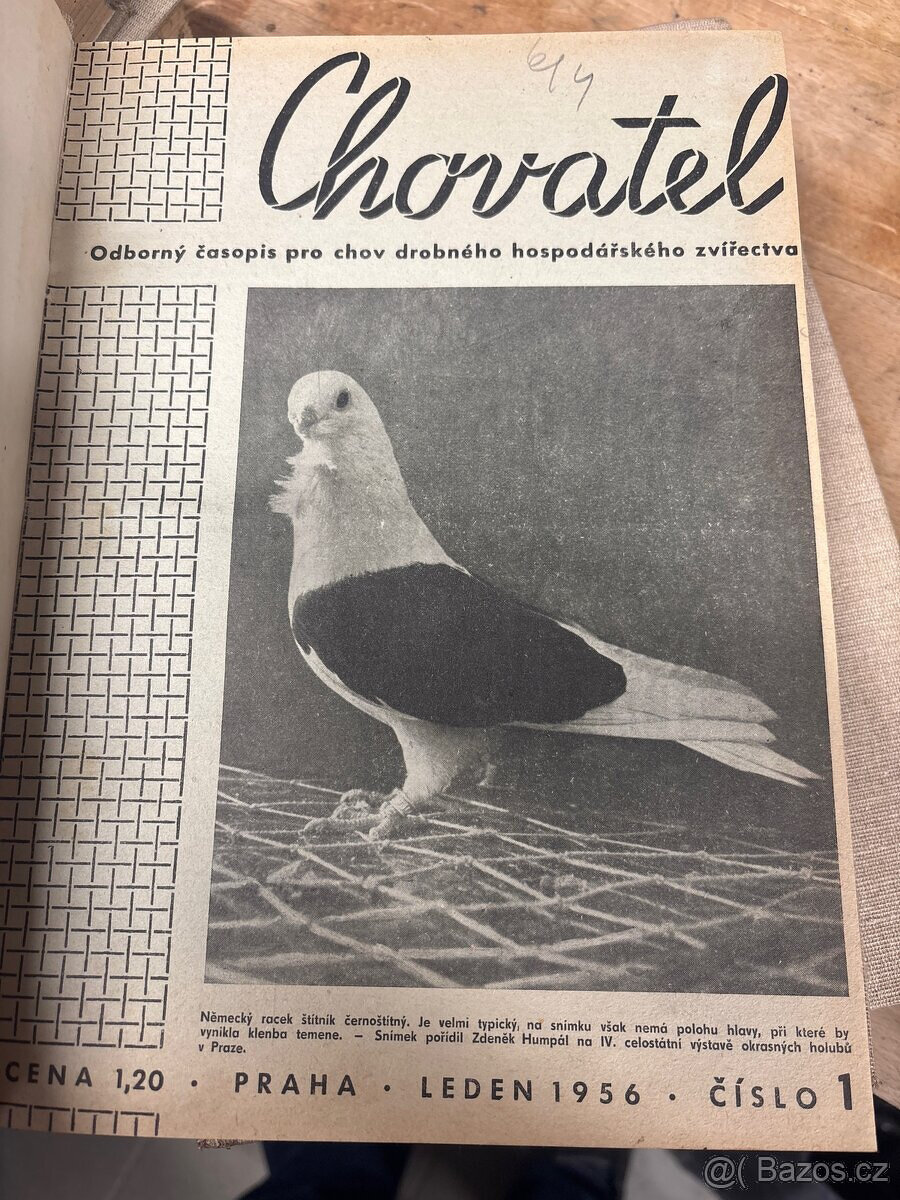 Časopisy chovatel - svázané, 1956-57,66-67-68-69-70-71-72-73 - 5