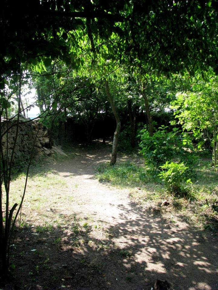 pastevní ustájení Plzeňsko - 5