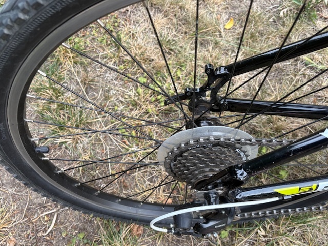 Dětské kolo Superior Paint 24 - 5