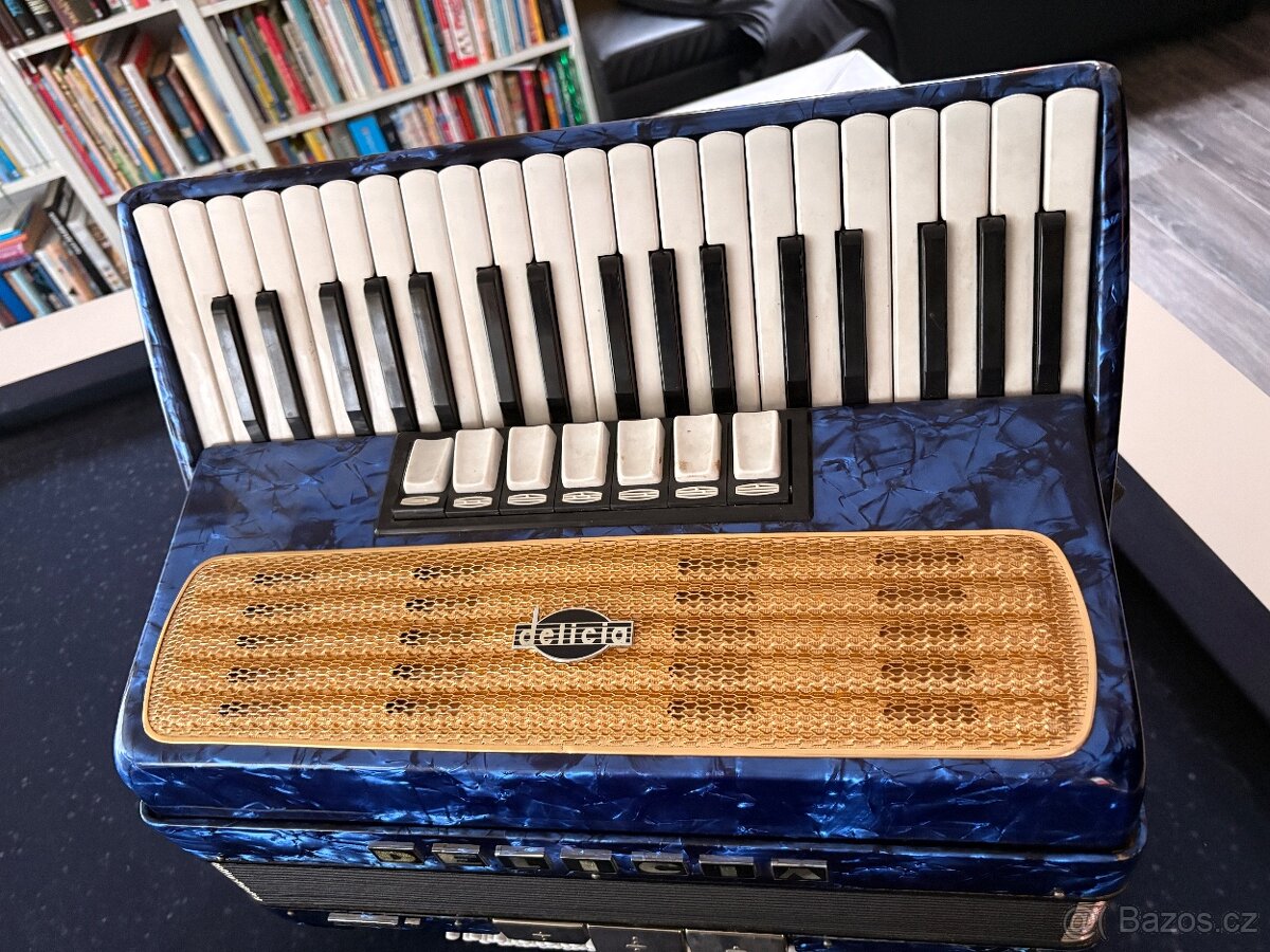 Akordeon Delicia Carmen II - 5