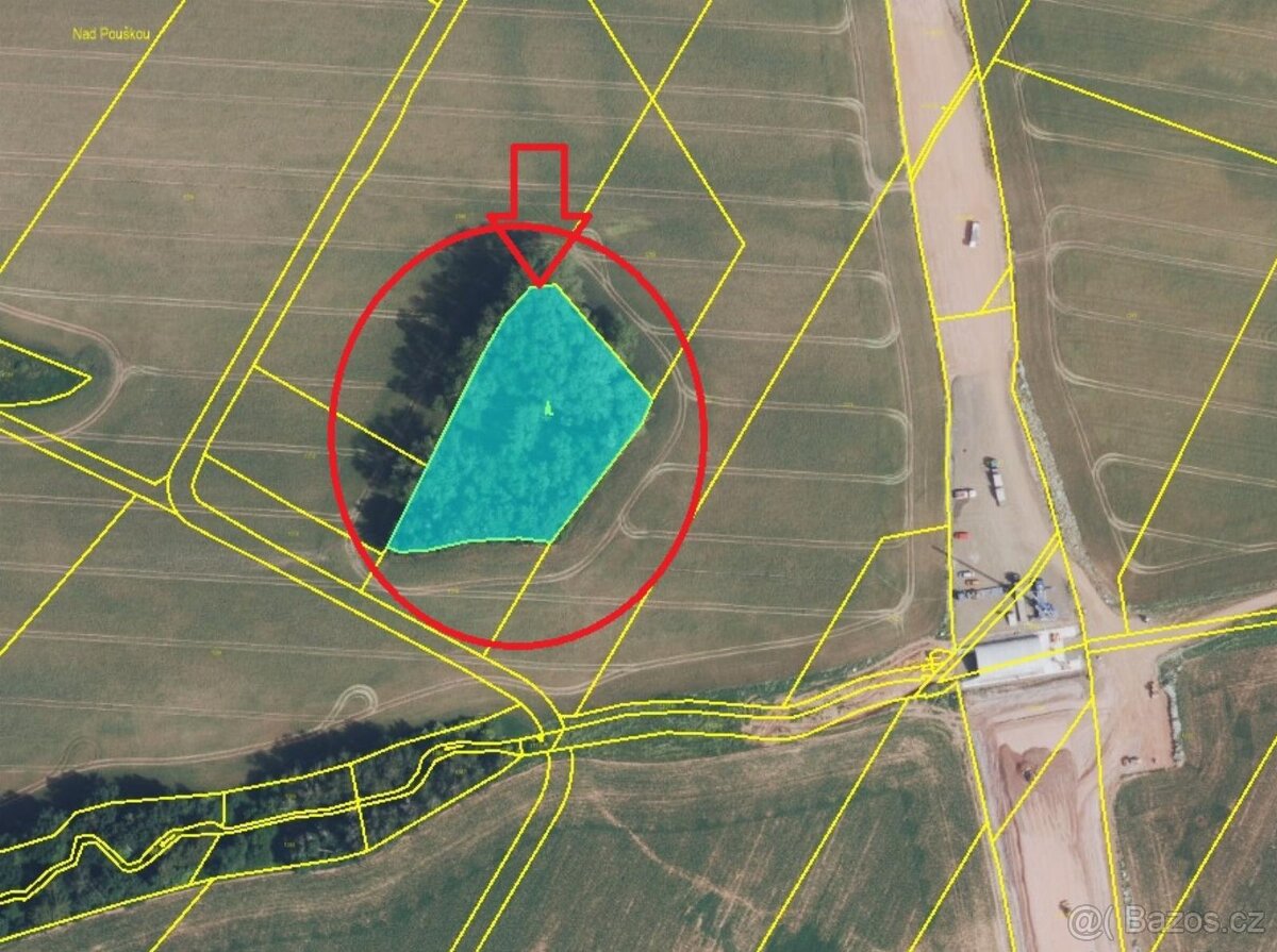 Prodej lesního pozemku k.ú. Vrchovina - 5